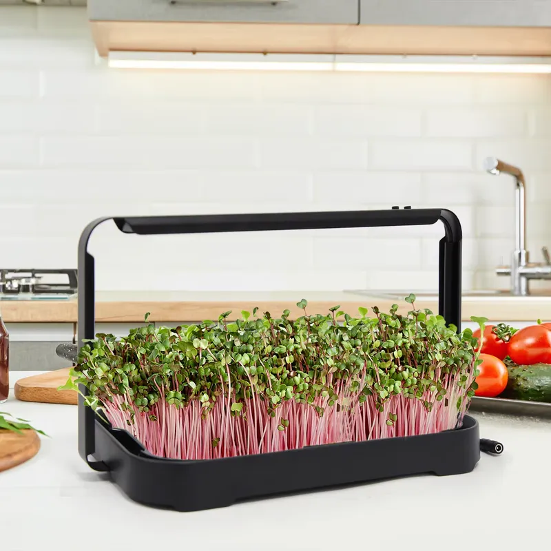 Smart Garden Usa - Гидропонный лоток для выращивания микрозелени в